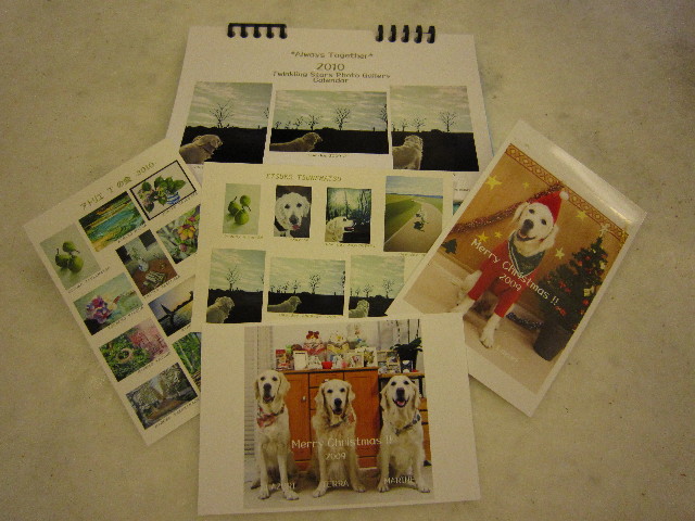 ファイル 1528-1.jpg