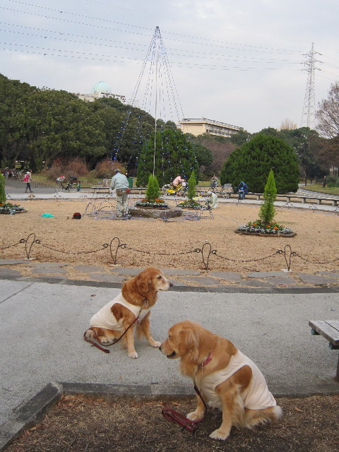 ファイル 1528-3.jpg