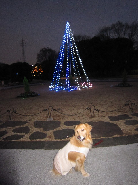 ファイル 1528-4.jpg