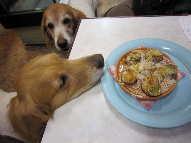 ファイル 1528-5.jpg