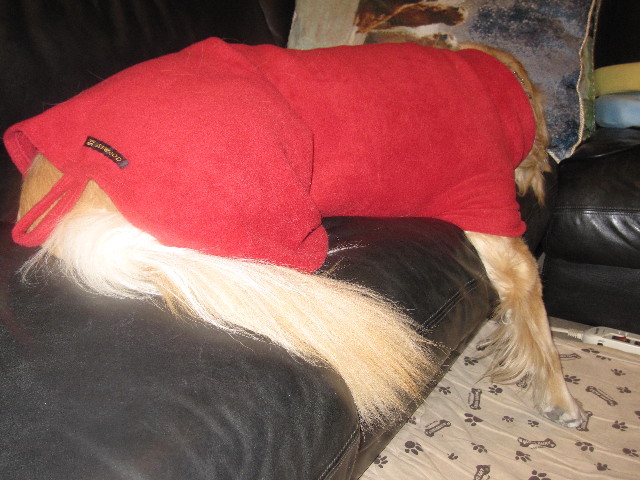 ファイル 1531-2.jpg