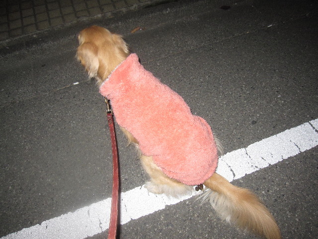 ファイル 1532-4.jpg