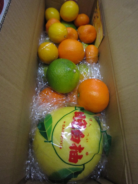 ファイル 1533-1.jpg