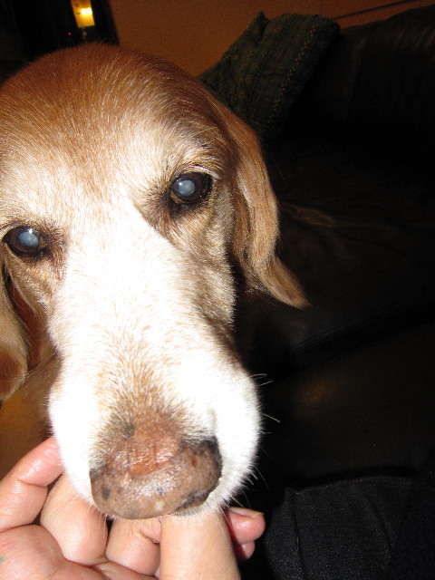 ファイル 1533-3.jpg