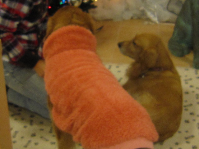 ファイル 1533-5.jpg