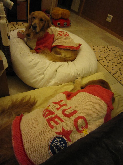 ファイル 1535-1.jpg