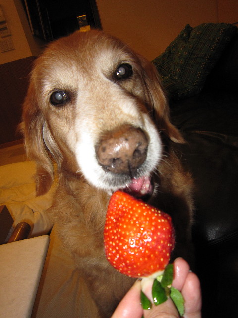 ファイル 1535-5.jpg