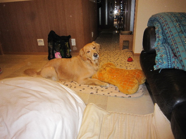 ファイル 1537-1.jpg