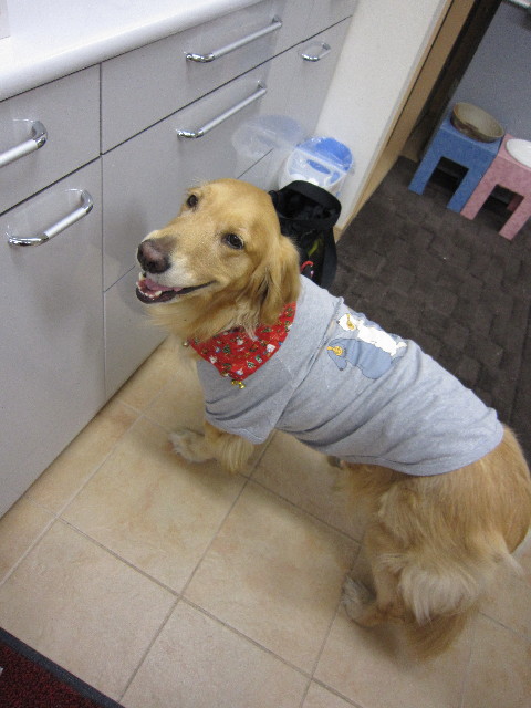 ファイル 1537-3.jpg