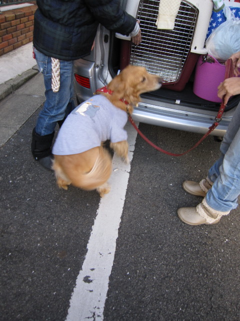 ファイル 1537-4.jpg