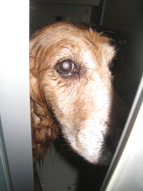 ファイル 1537-5.jpg