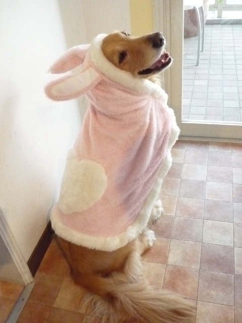 ファイル 1538-5.jpg