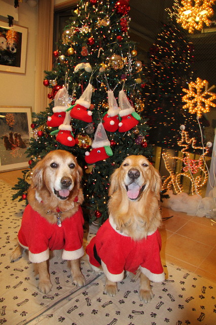 ファイル 1539-1.jpg