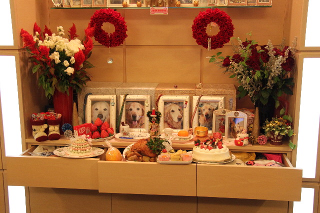 ファイル 1539-3.jpg