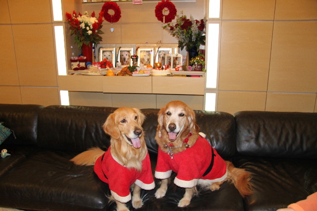 ファイル 1539-4.jpg