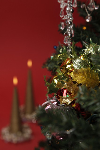 ファイル 1539-5.jpg