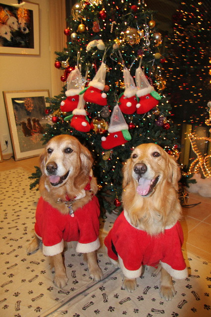 ファイル 1540-2.jpg