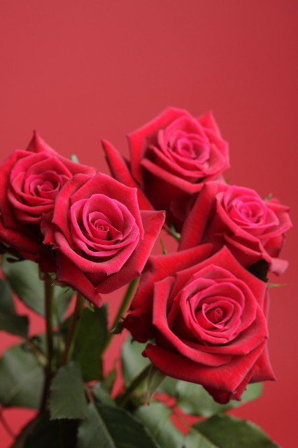 ファイル 1540-5.jpg