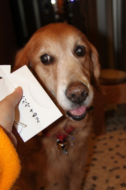 ファイル 1541-1.jpg