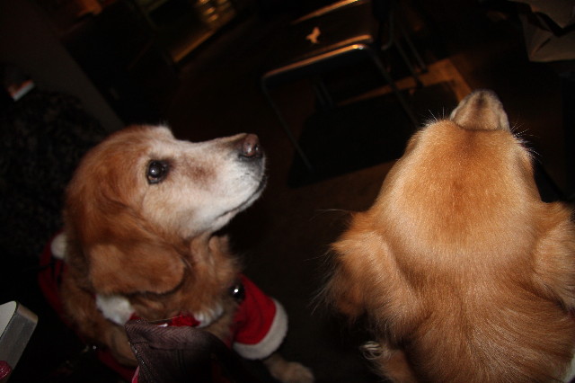 ファイル 1542-2.jpg