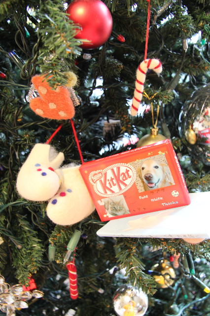 ファイル 1543-2.jpg