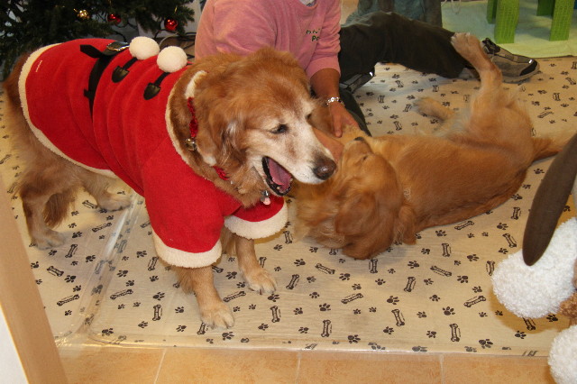 ファイル 1543-3.jpg