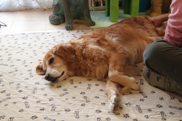 ファイル 1543-4.jpg