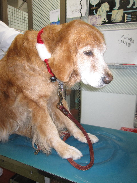 ファイル 1544-2.jpg