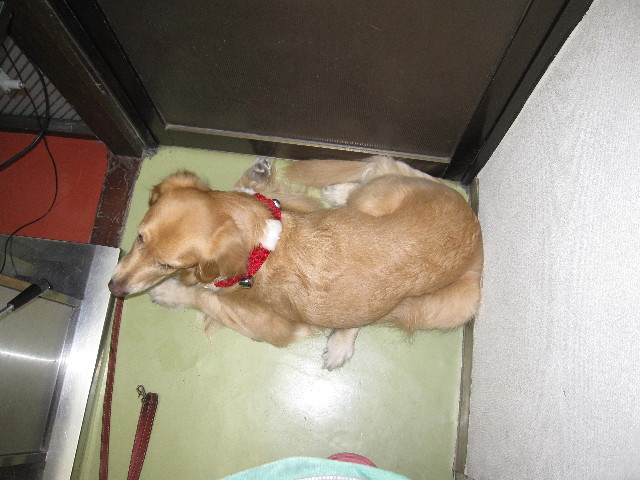 ファイル 1544-4.jpg