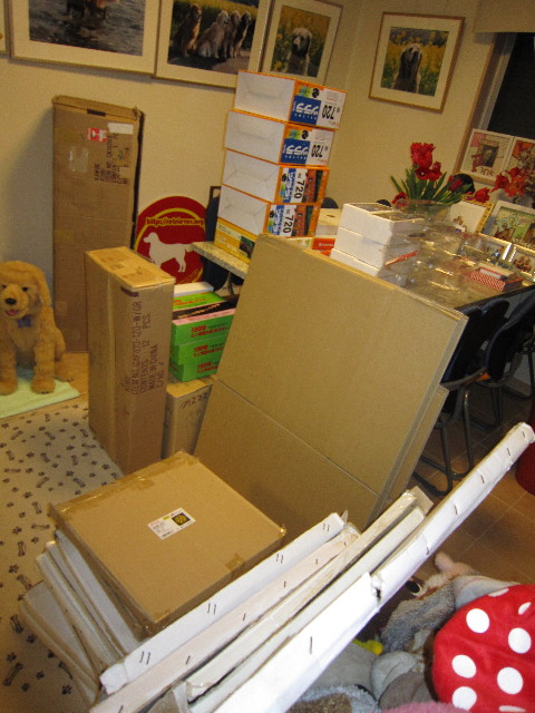 ファイル 1546-1.jpg