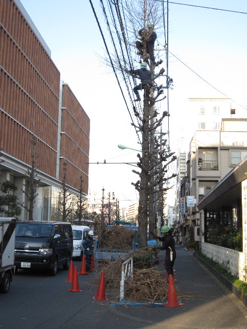 ファイル 1546-3.jpg