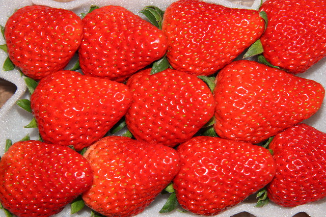 ファイル 1548-1.jpg