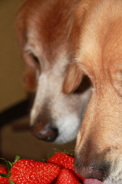 ファイル 1548-2.jpg