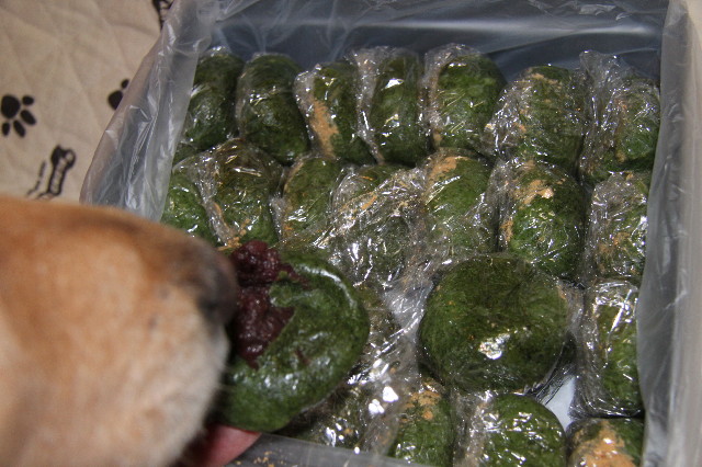 ファイル 1548-3.jpg