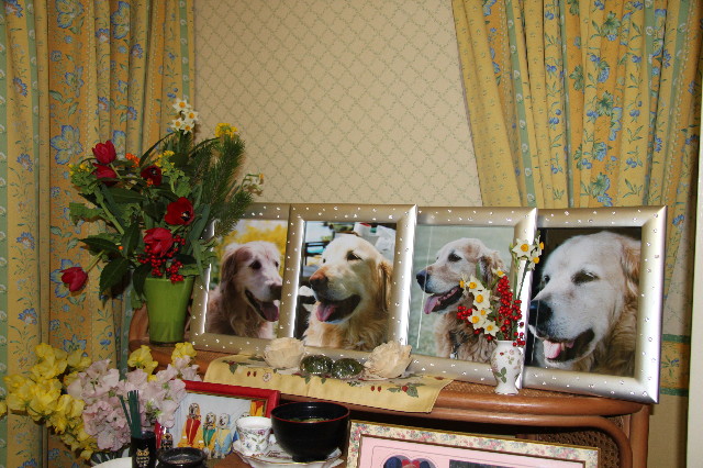 ファイル 1549-5.jpg