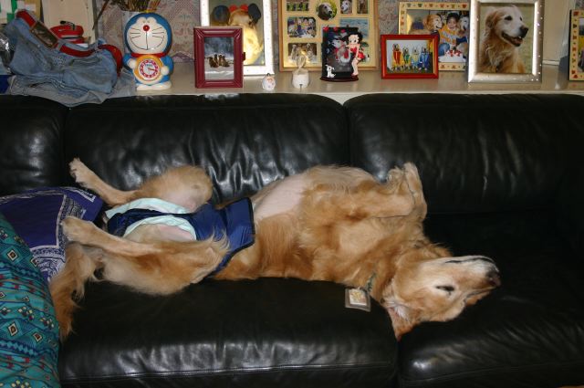 ファイル 155-4.jpg