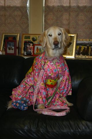 ファイル 155-5.jpg