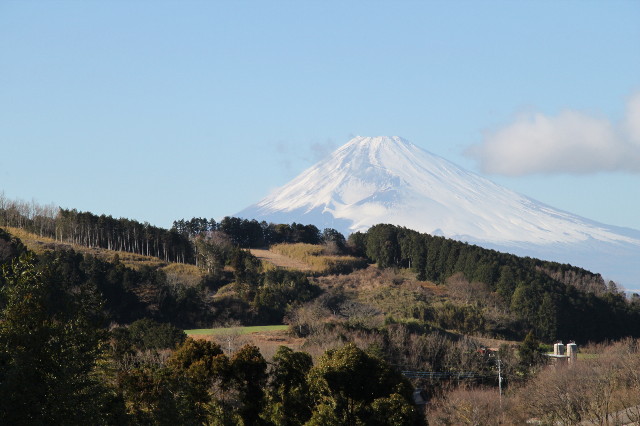 ファイル 1550-1.jpg