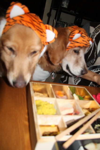 ファイル 1550-4.jpg