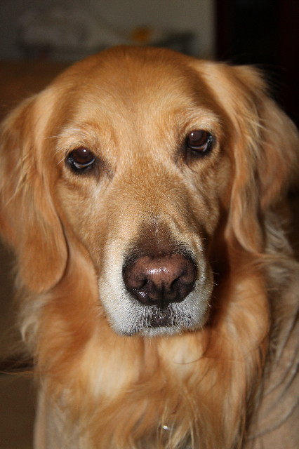 ファイル 1551-1.jpg