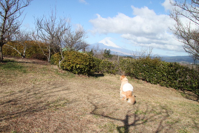 ファイル 1551-2.jpg