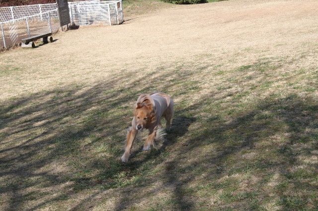 ファイル 1551-3.jpg