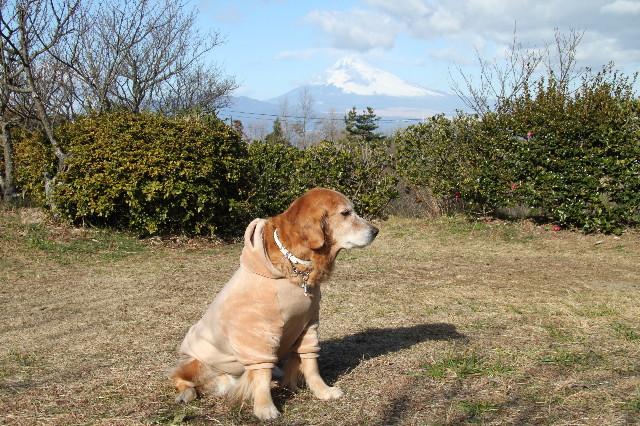 ファイル 1552-2.jpg