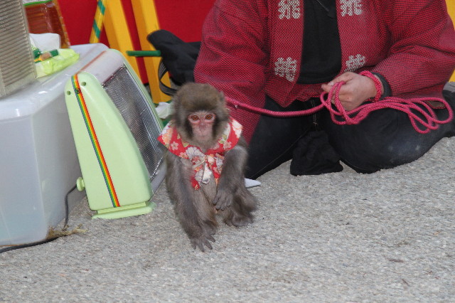 ファイル 1552-3.jpg