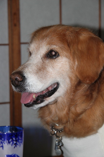 ファイル 1552-5.jpg