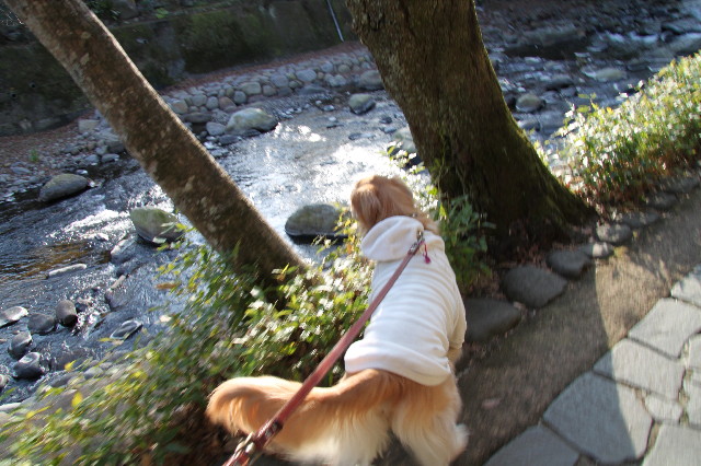 ファイル 1558-2.jpg