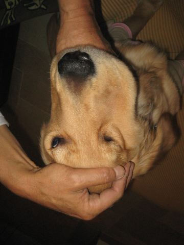 ファイル 156-1.jpg