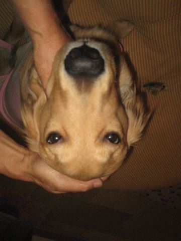 ファイル 156-3.jpg