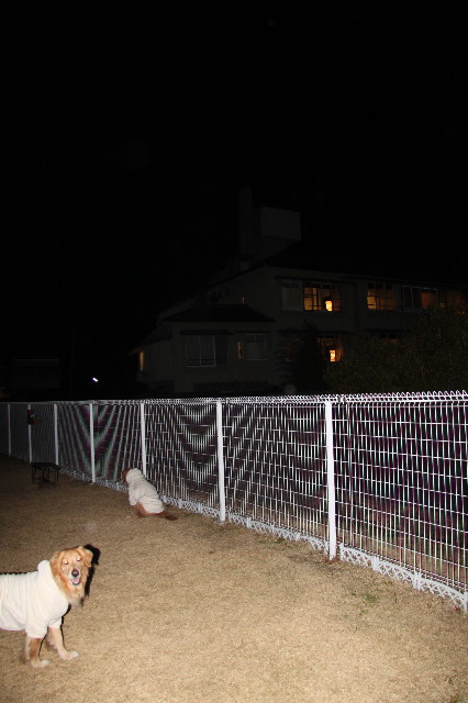 ファイル 1560-4.jpg