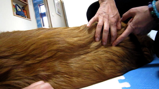 ファイル 1564-2.jpg